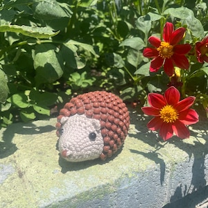 PDF UNIQUEMENT | Motif hérisson agité au crochet | Patron au crochet | Hérisson au crochet | Bouger au crochet | *MOTIF*