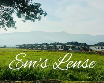 Rice Paddy Field Print Descarga digital