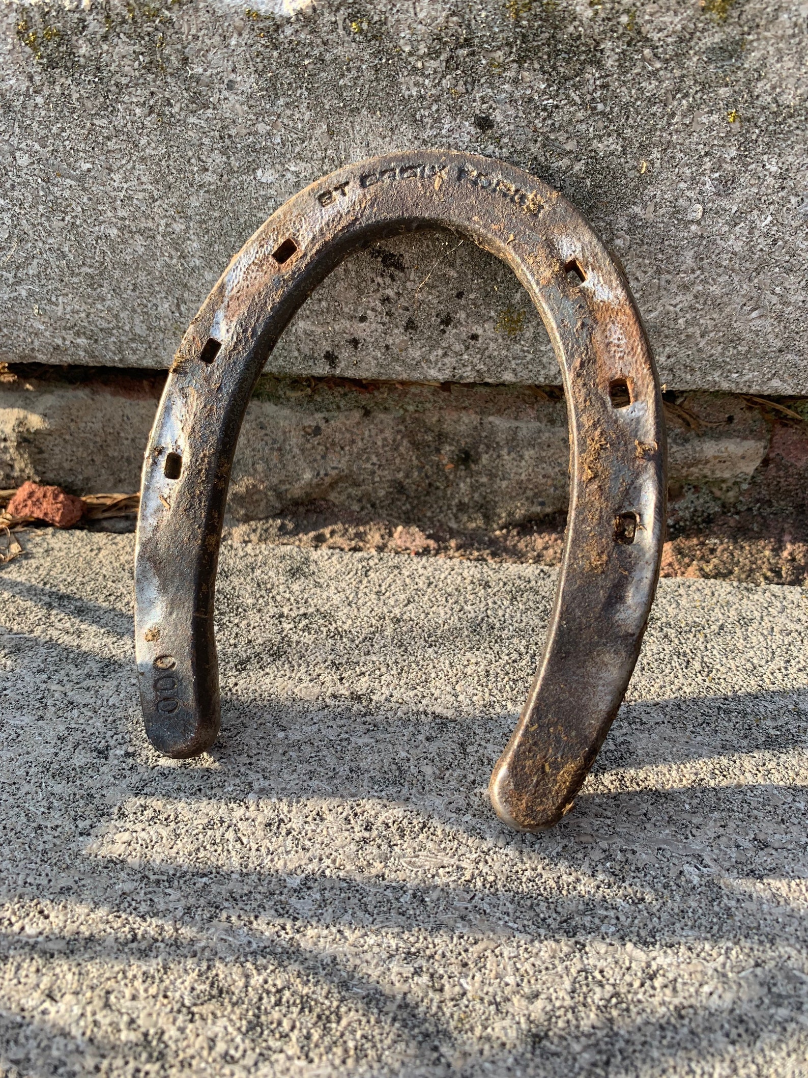 REAL Used Horseshoes Etsy