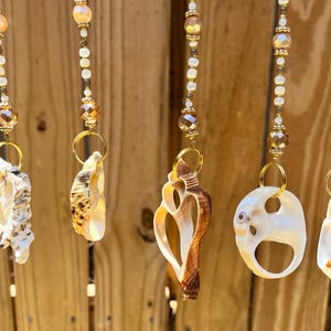 Seashell Windchime