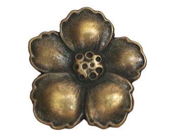 Set of 25 Hibiscus Flower 3/4 inch (19 mm) Metal Buttons Antique Brass Color (TBCx)