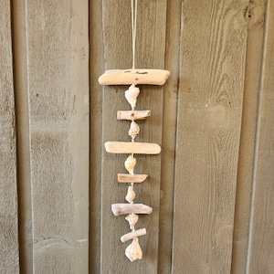 Colgante de pared o móvil hecho a mano de madera a la deriva y conchas marinas
