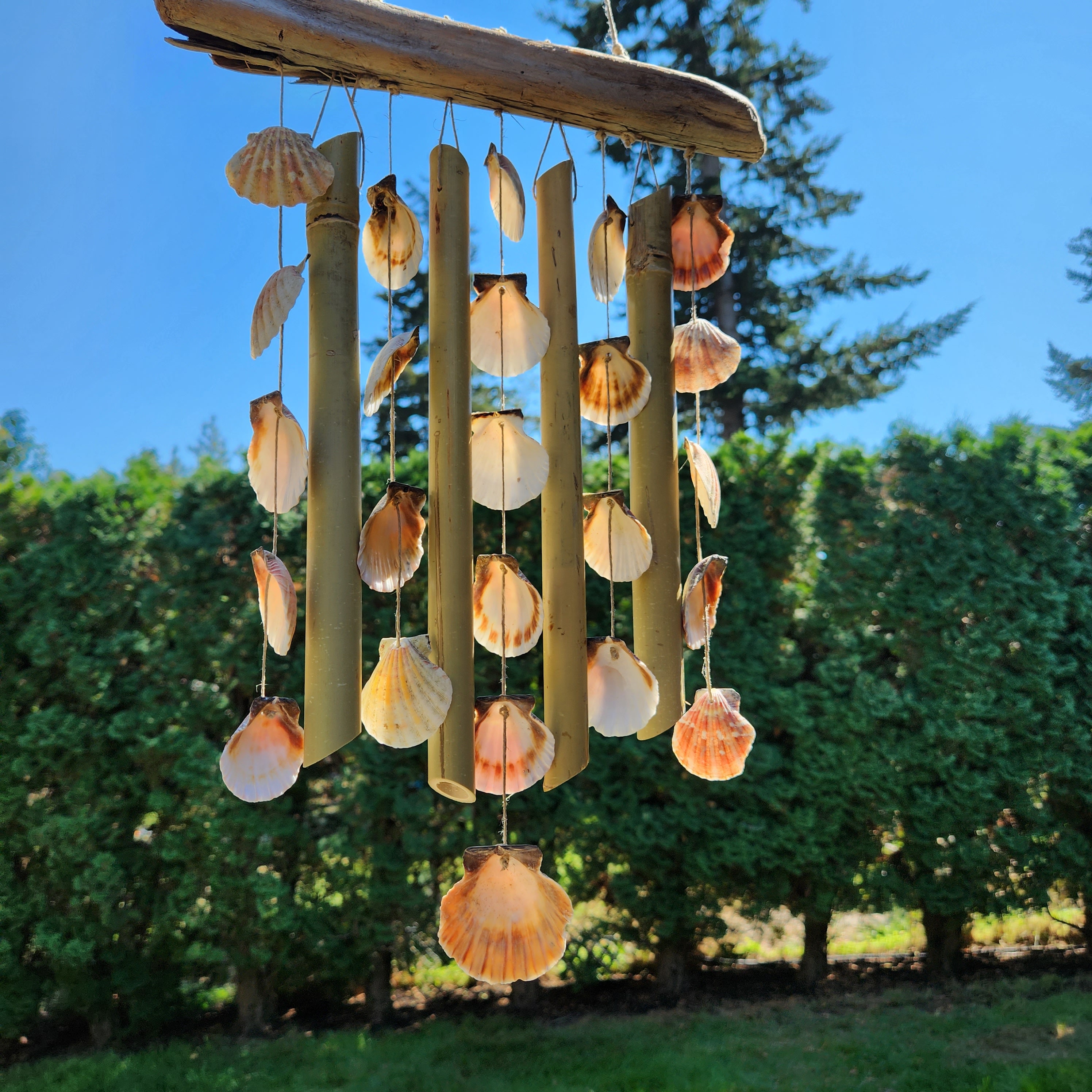 ZOYIEP Carillon à Vent En Coquilles De Nacre Blanc à Suspendre Pour La Maison Ou La Chambre D'enfant (grand
