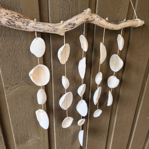 Beautiful and impressive driftwood and seashell hanging wall decoration or mobile