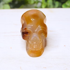 Agate Red Carnelian Crystal Skull Carving | High Quality | US Seller