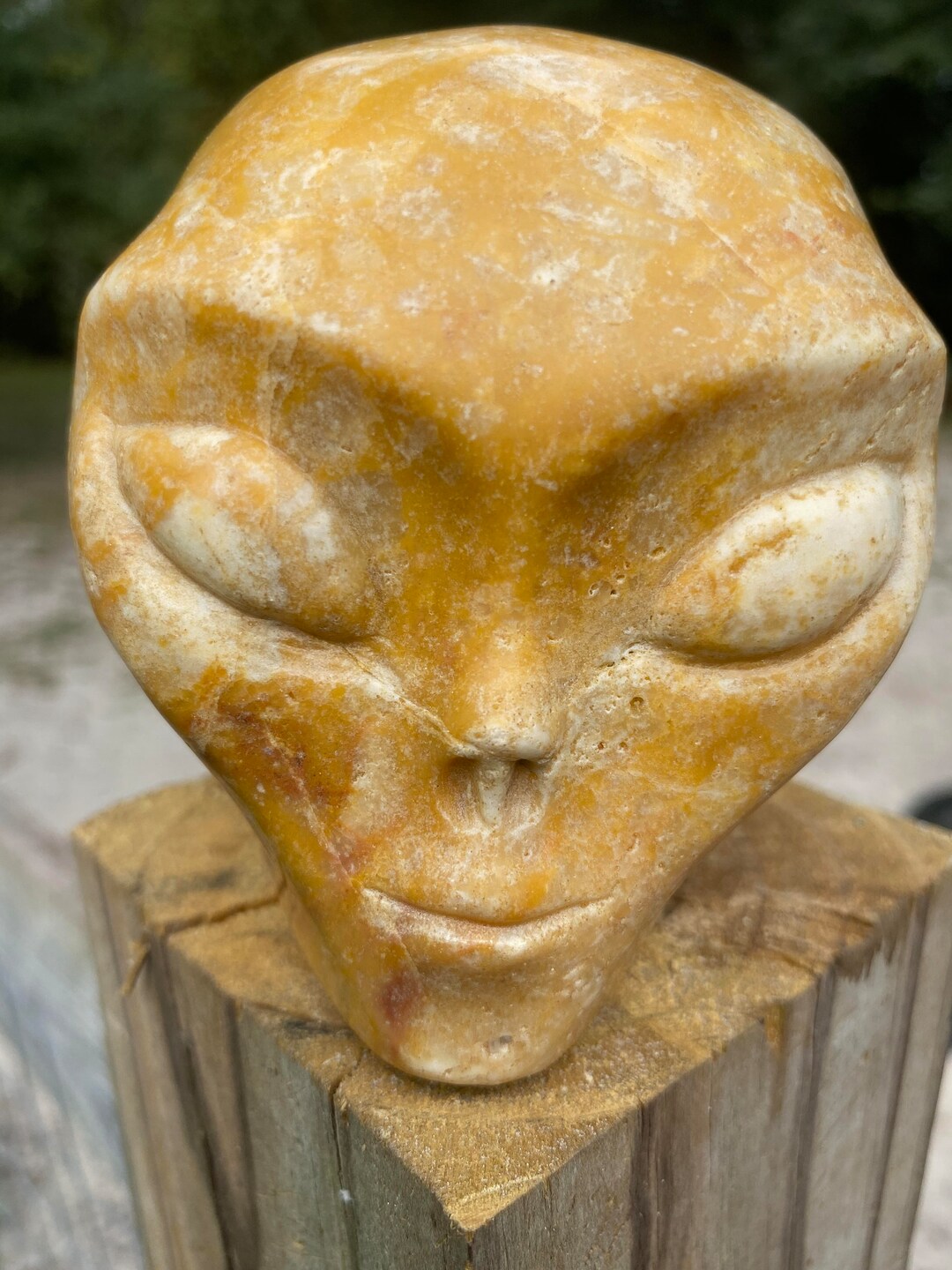Yellow Jasper Alien Head Skull | High Quality | US Seller - Etsy