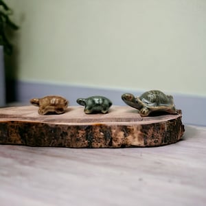 May include: Three ceramic turtle figurines on a wooden slice. The turtles are different sizes and have brown, green, and black glaze.