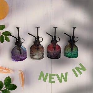 Glass Watering Spray Bottle Plant Mister Plant Spritzer Garden Accessory Mister gift Plant spray gift for gardening color glass Mister Gift