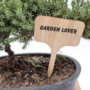 May include: A small green bonsai tree in a black pot with a wooden plant marker that says "GARDEN LOVER".