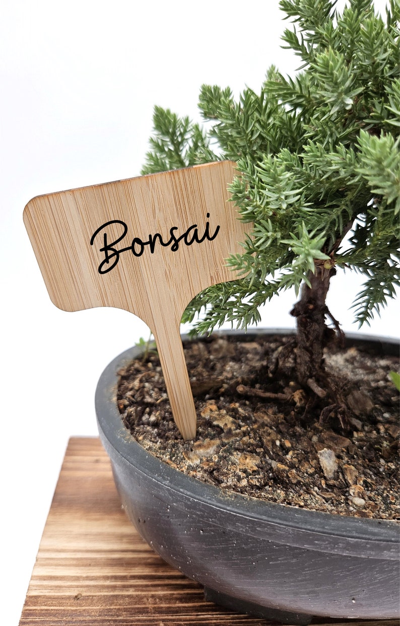 TheEvergreenBonsai Plant Marker - Thumbnail 3