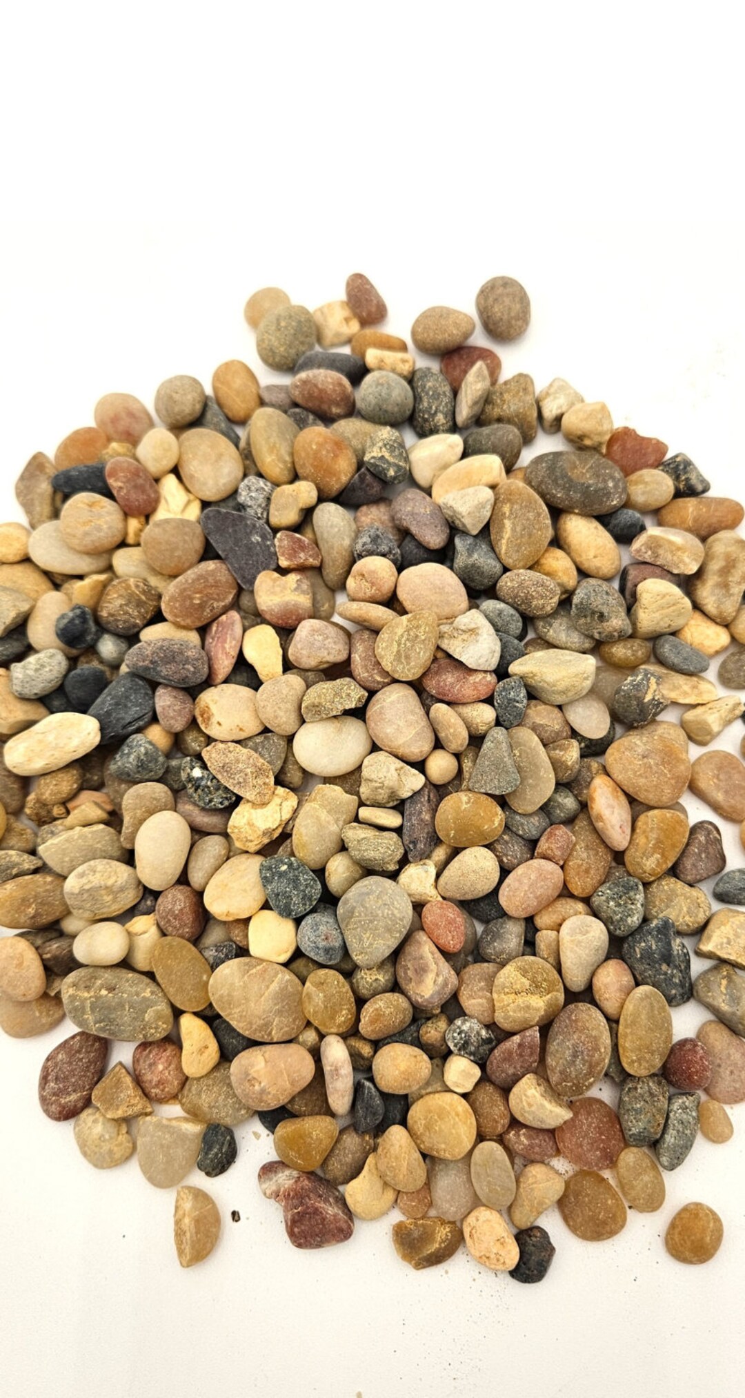 Garden Decor Gift for Plant Lover Holiday Gift for Bonsai Lover Garden