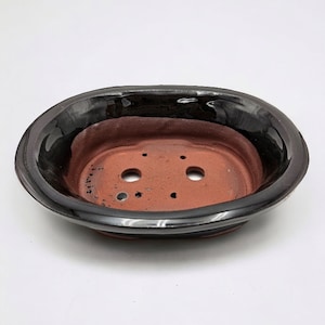 Op de afbeelding: Een ovale bonsai pot van terracotta met drainage gaten. De pot is aan de buitenkant zwart geglazuurd.