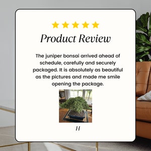 May include: Five star product review for a juniper bonsai tree. The review states that the bonsai arrived ahead of schedule, was packaged carefully and securely, and was as beautiful as the pictures. The review also states that the bonsai made the reviewer smile when they opened the package. A photo of the bonsai is included in the review.