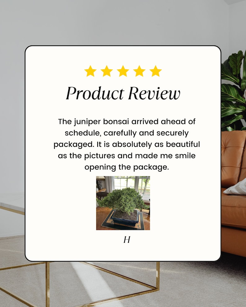 May include: Five star product review for a juniper bonsai tree. The review states that the bonsai arrived ahead of schedule, was packaged carefully and securely, and was as beautiful as the pictures. The review also states that the bonsai made the reviewer smile when they opened the package. A photo of the bonsai is included in the review.