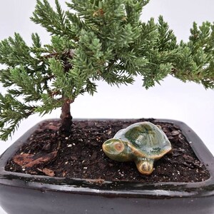TORTUE DE MER FIGURINE EN CERAMIQUE FAIT MAIN BOLIVIE - statuette de