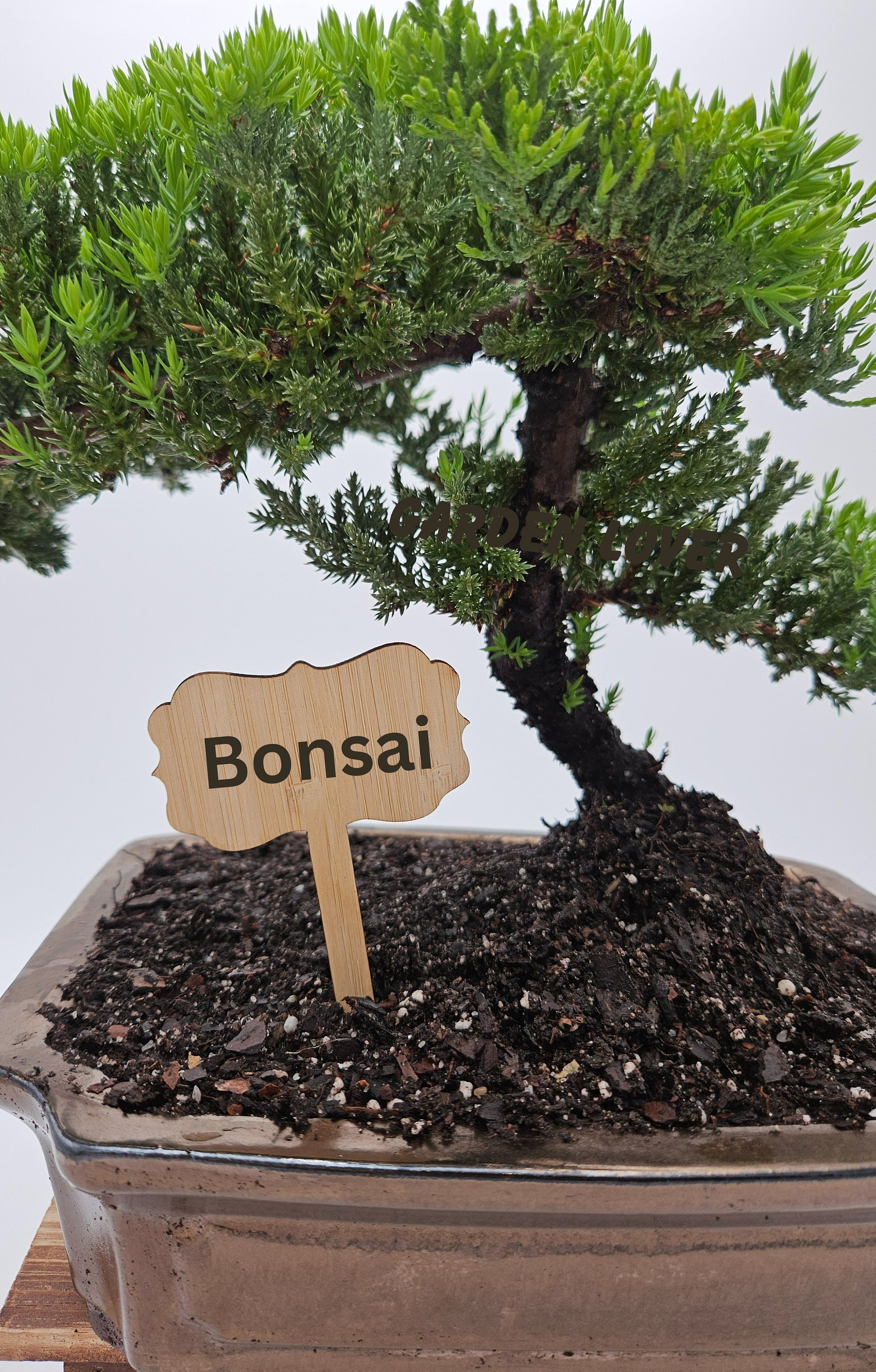 Bamboo Plant Label for Bonsai Lover Garden Accessory Gift Wooden Tag ...