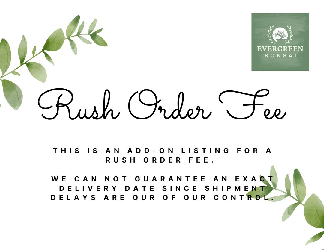 Rush Order Fee - Etsy