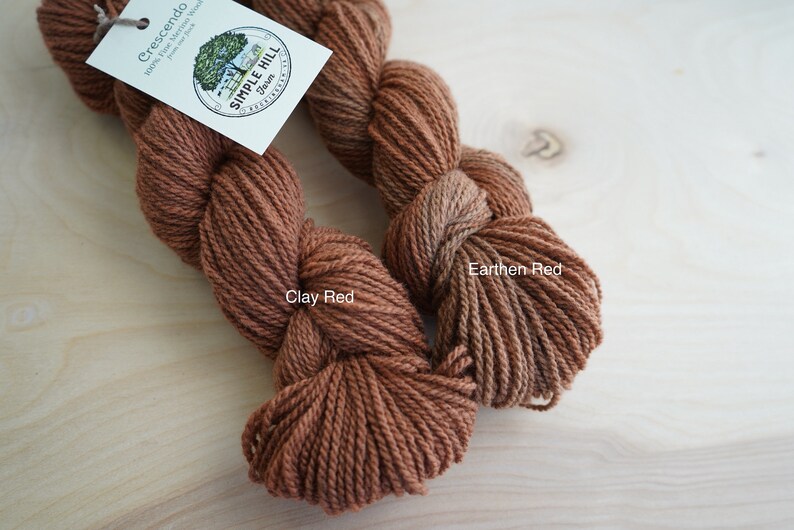 Naturally Dyed Merino Farm Flock Yarn Simple Hill Farm Clay Etsy