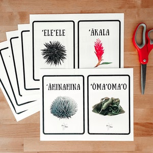 Hawaiian Flashcards - Colors in Hawaiian - ʻŌlelo Hawaiʻi - Basic Hawaiian Words - Printable Flashcards - Digital File