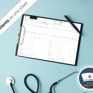 THE BEST Nurse RN Brain / Printable Report Sheet