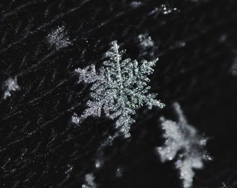 Snowflake Photography Print - Captivating Winter Wonderland Wall Art, Perfect for Home Decor or Holiday Gift