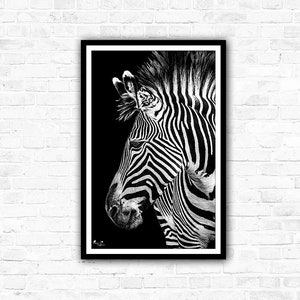 African Mono-Mals Wildlife Photography Print Collection, Giraffe, Elephant, Zebra, Black and white. image 4