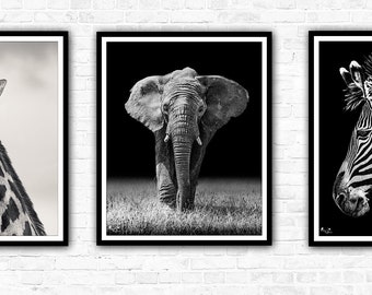 African Mono-Mals Wildlife Photography Print Collection, Giraffe, Elephant, Zebra, Black and white.