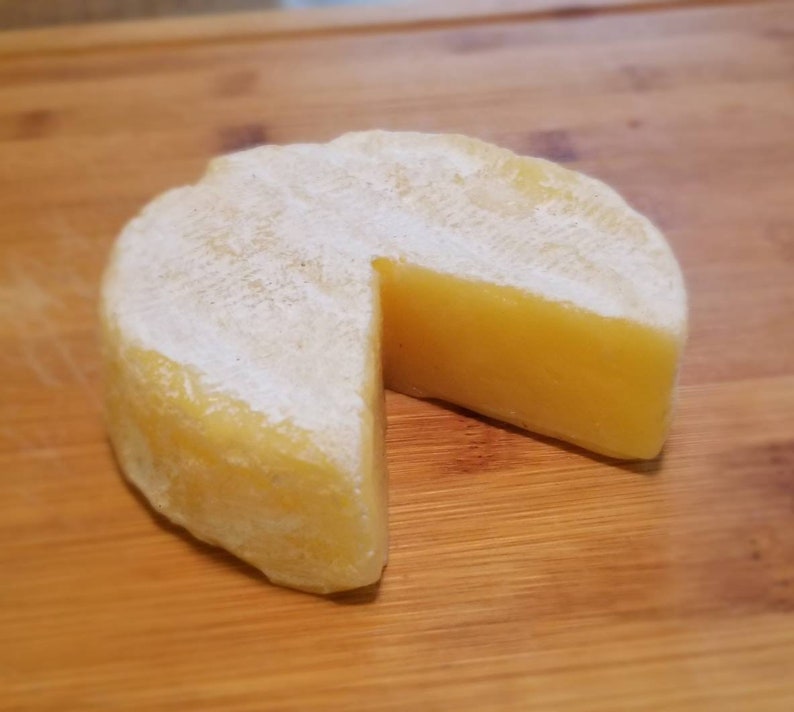 Fake Brie Cheese Wheel Etsy