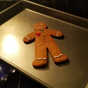 Fake Gingerbread Man