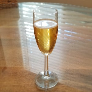 Fake Glass of Champagne
