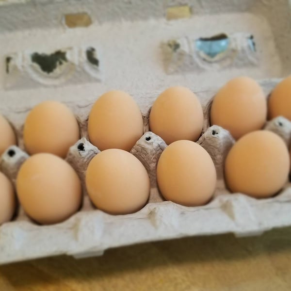 Fake Dozen Brown Eggs (Ceramic)