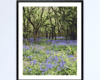 Cross stitch pattern Bluebell Woods DIGITAL DOWNLOAD PDF