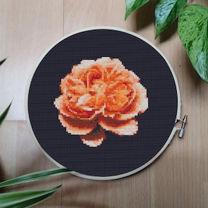 May include: A cross-stitch embroidery of an orange rose in a wooden hoop. The flower is centered on a dark blue background. The hoop is made of light-colored wood. Green plants are in the background.