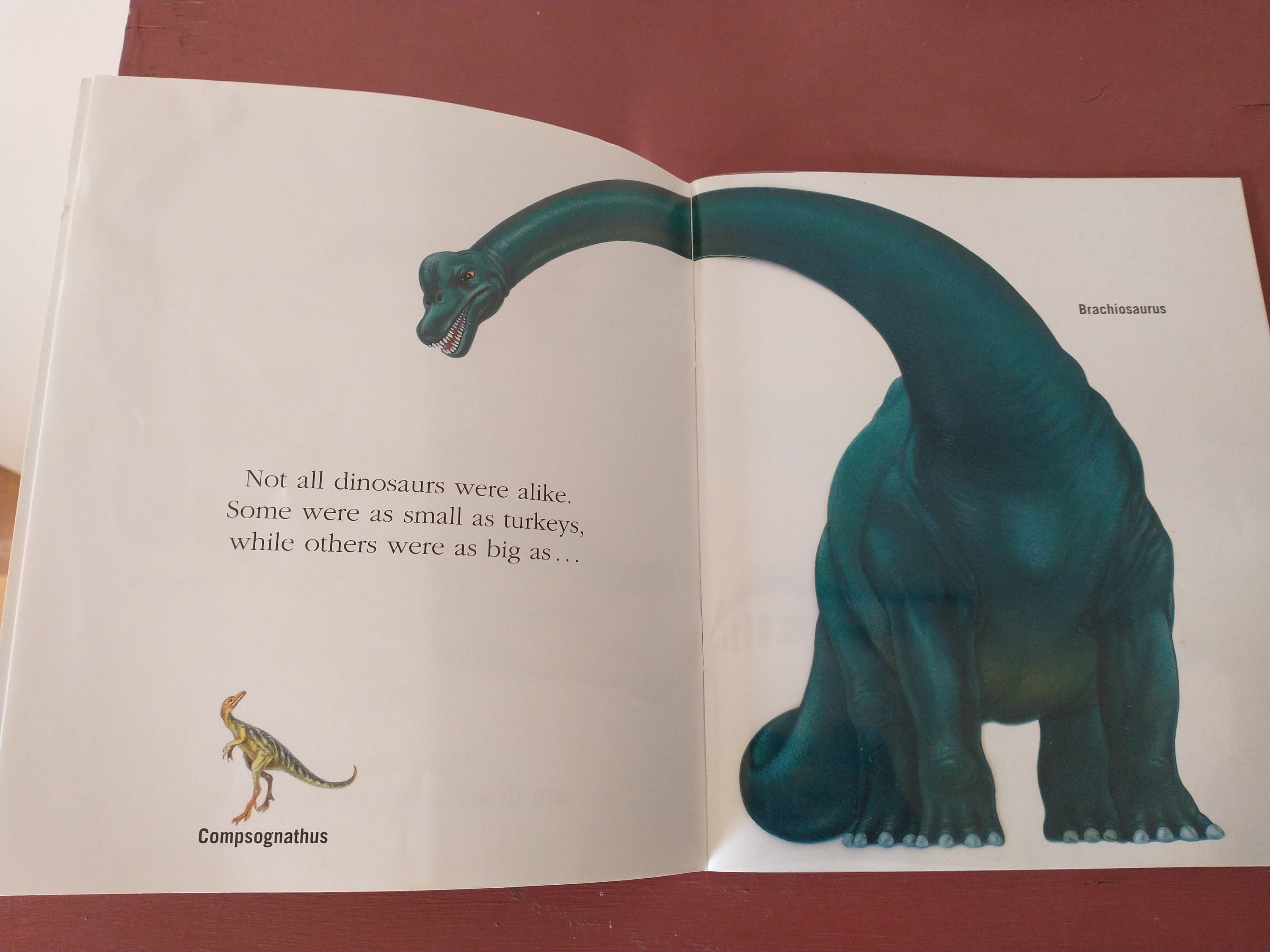 The Dinosaur A First Discovery Book 2003 Paperback - Etsy
