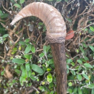 Sheep Shepard staff. Wizard witch Druid spiritual wood mage cosplay staff