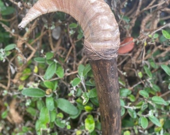 Sheep Shepard staff. Wizard witch Druid spiritual wood mage cosplay staff