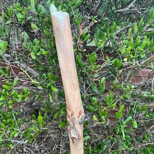 Crystal walking cane, wizard staff, mage staff, magic staff, Druid staff, elf staff, fairy staff, cosplay staff, larp staff, shaman staff