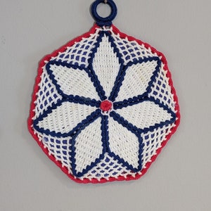 Vintage Crocheted Floral Pot Holder