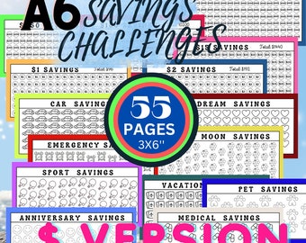 A6 spaaruitdagingsbundel, financiële planner (pdf)