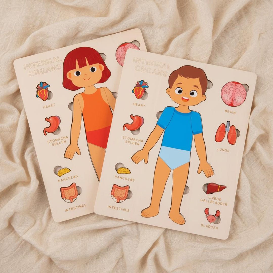 Wooden Human Body Puzzle for Kids – Montessori Anatomy Toy With ...