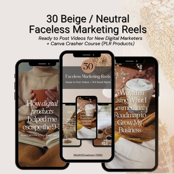 Faceless Reels & Digital Bundle: Done For You PLR for Passive Income. Make Money Online with Faceless Content and Instagram Canva Templates.