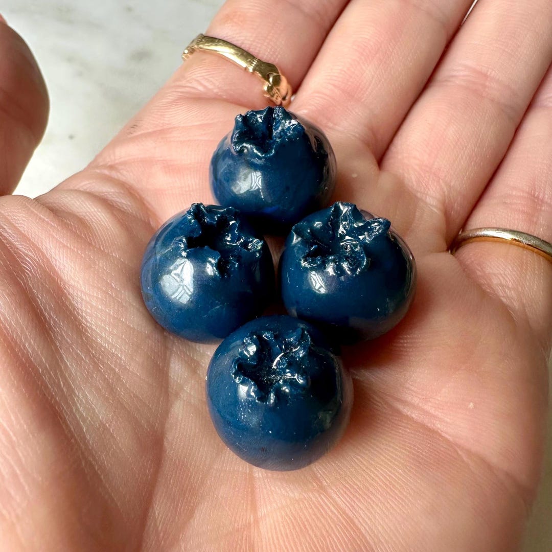Blueberry Magnets | Pack of 4 | Kitchen Decor | Summer Gift for Foodie