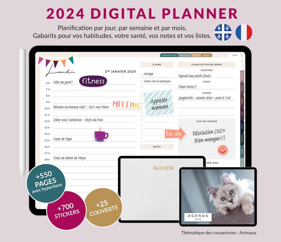 Digital Planner 2024 Goodnotes Planner FRANÇAIS FRENCH iPad Planner