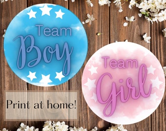 Gender Reveal Stickers | Print At Home | Stars Theme