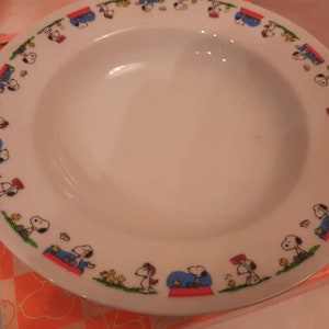 TWO FOR ONE: Peanuts Snoopy & Woodstock Bowl in Box, New; never used. Snoopy Japan.