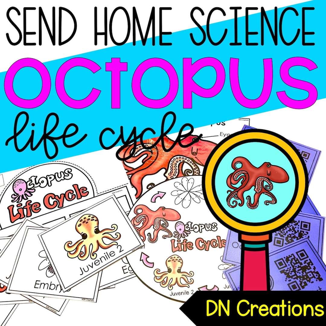 Octopus Life Cycle L Octopus Science Activities L Octopus Posters L