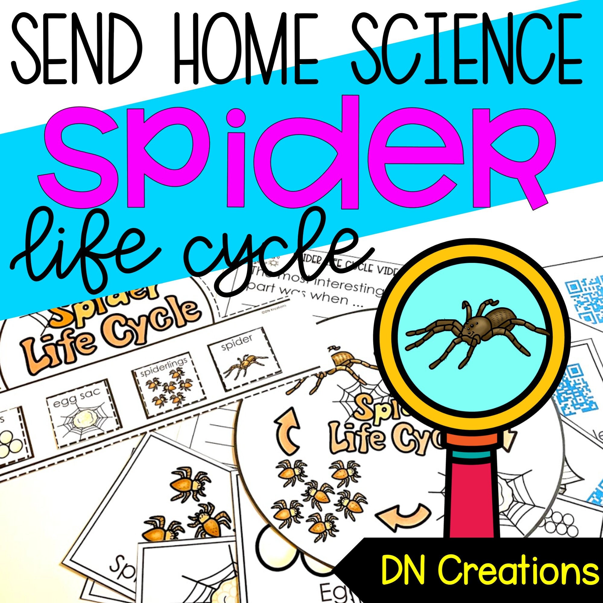 These Tiny Creatures Are Incredibly Strong! (Spider Science) - 0eq83fq