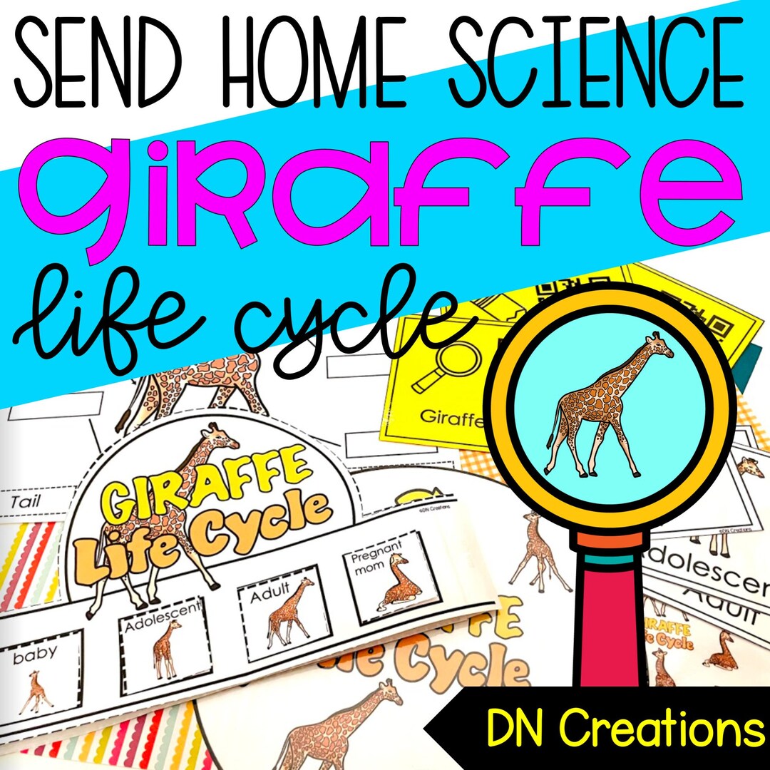 Giraffe Life Cycle L Giraffe Science Activities L Giraffe - Etsy