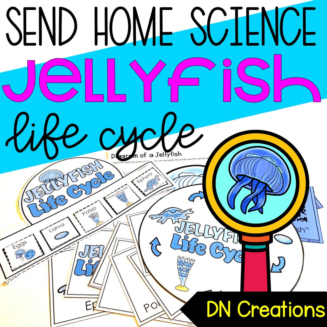 Jellyfish Life Cycle L Jellyfish Science Activities L Science Posters L