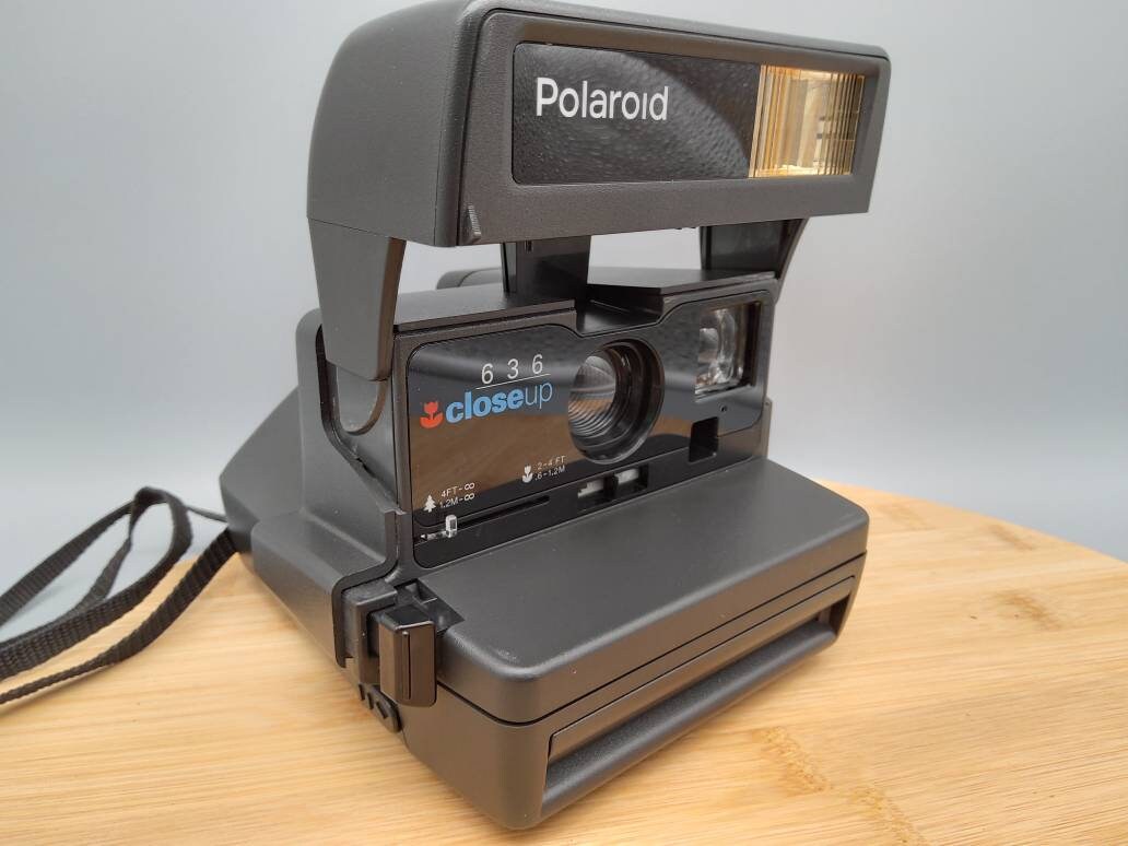 polaroid 363 close up